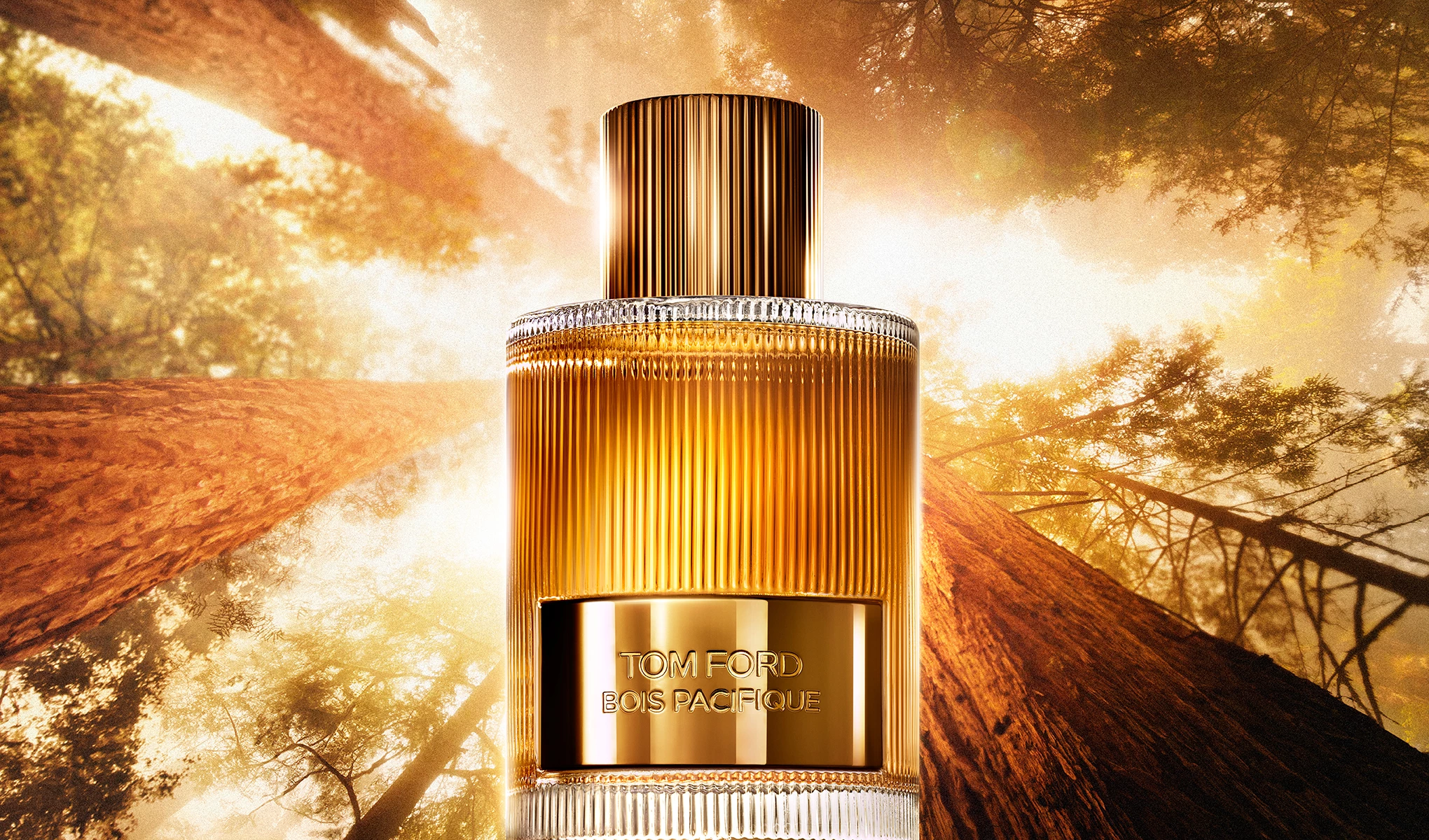 Tom Ford -tuote metsän kuvaa vasten, otettu ylöspäin puiden latvoihin ja auringonvaloon
