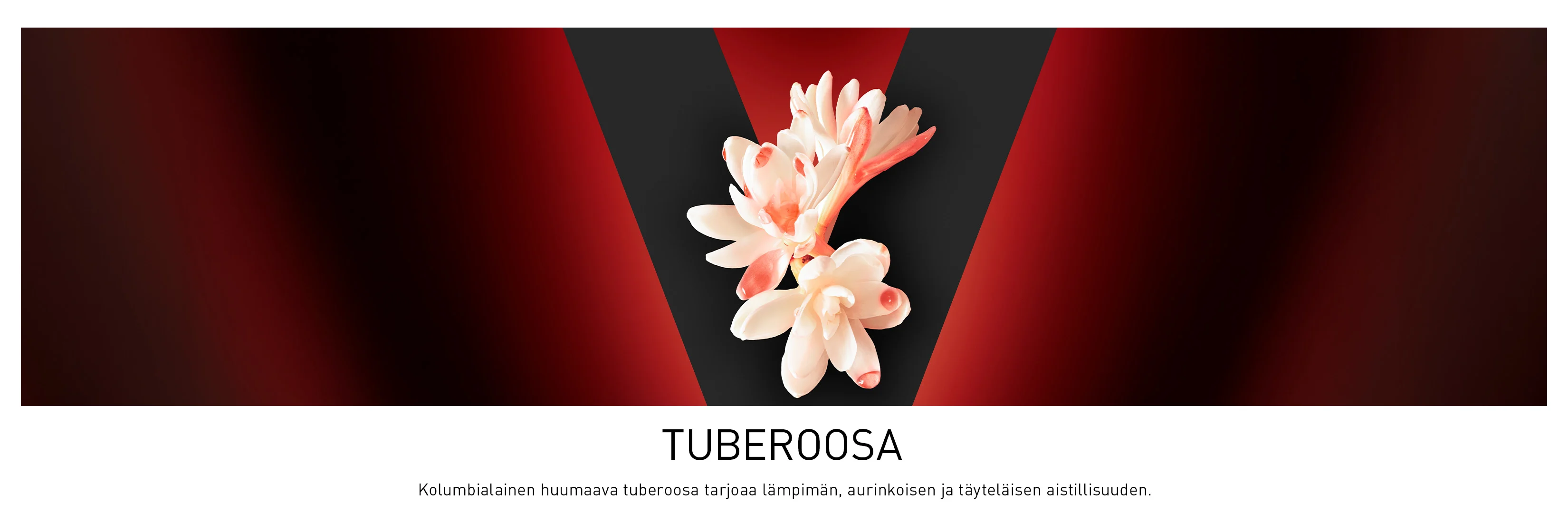 Tuberoosinkukkia punamustalla taustalla. Kuvassa kuvataan tuberoosin lämmintä, makeaa ja täyteläistä tuoksua.