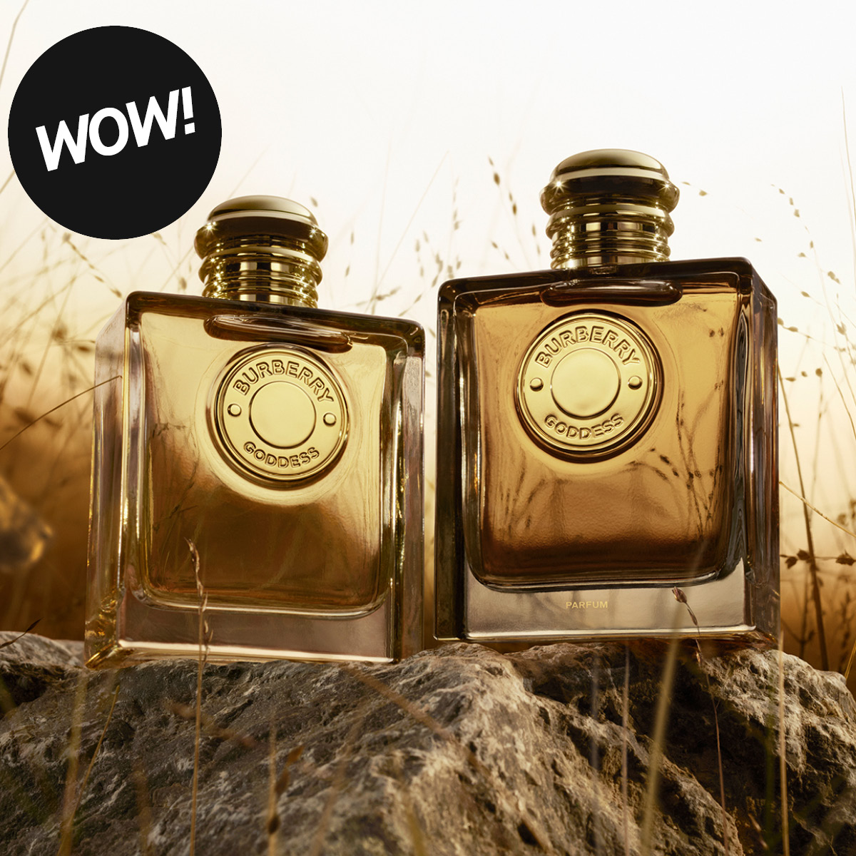 To gyldne parfymeflasker Burberry Goddess plassert på steiner utendørs med logoen “BURBERRY GODDESS” synlig og en svart sirkel med teksten “WOW!”.