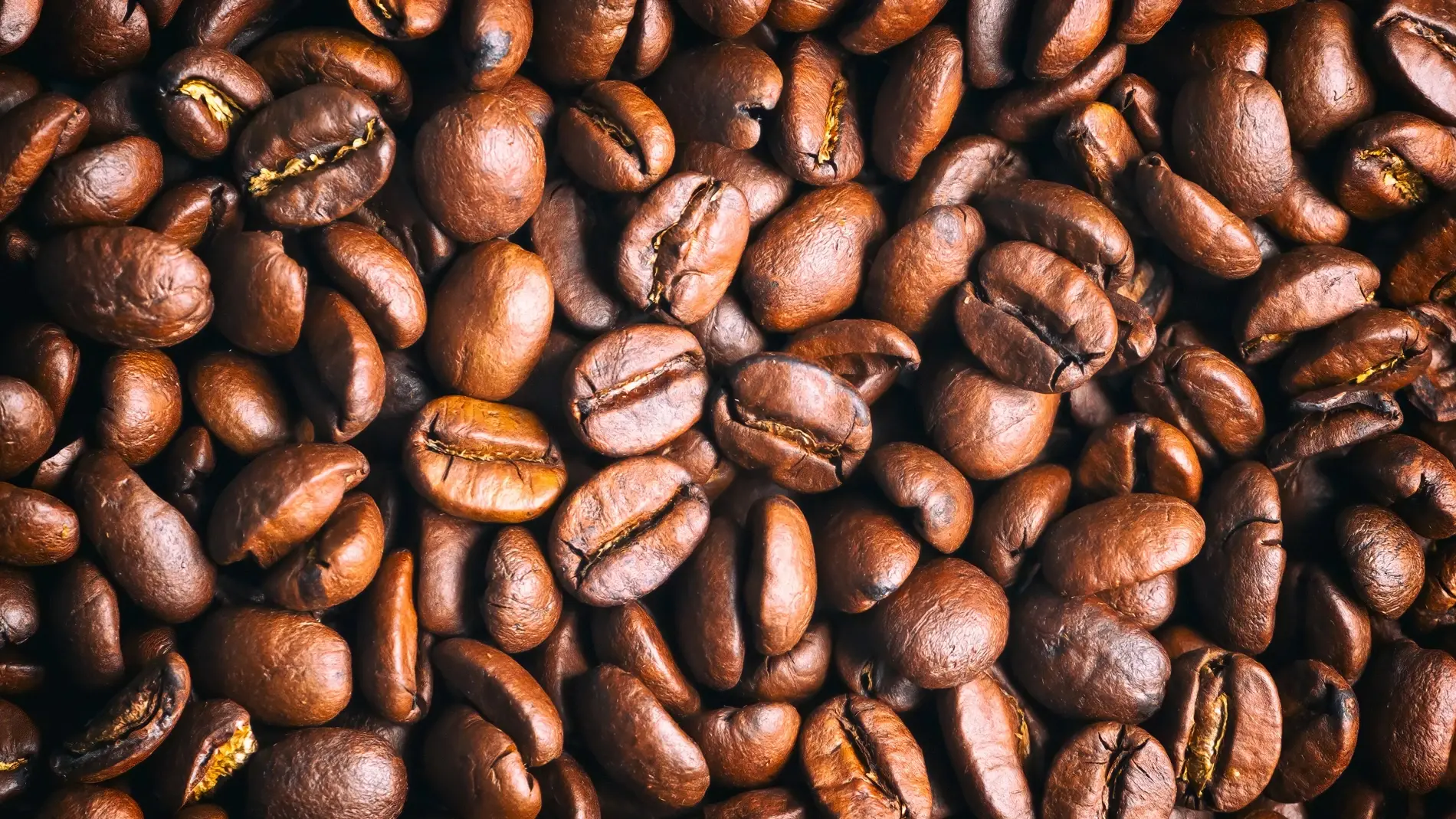 Väldigt många kaffebönor