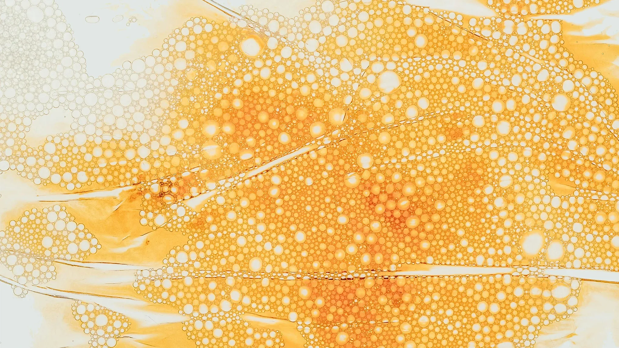Askorbiinihappoa, jossa on paljon pieniä, pyöreitä kuplia oranssin ja keltaisen eri sävyissä.