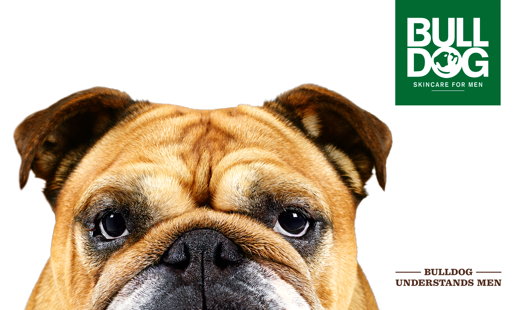 En närbild av en bulldog med fokus på ansiktet och ögonen. I övre högra hörnet finns en grön ruta med texten "Bulldog Skincare For Men". Under hundens ansikte står texten "Bulldog Understands Men". Bakgrunden är vit.