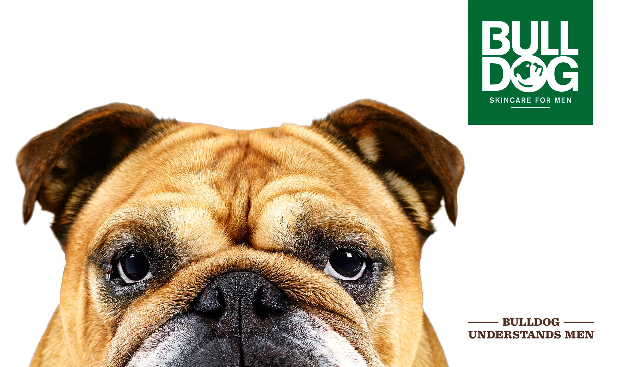 Lähikuva bulldoggista keskittyen kasvoihin ja silmiin. Oikeassa yläkulmassa on vihreä laatikko, jossa teksti ”Bulldog Skincare For Men”. Koiran kasvojen alla on teksti ”Bulldog Understands Men”. Tausta on valkoinen.