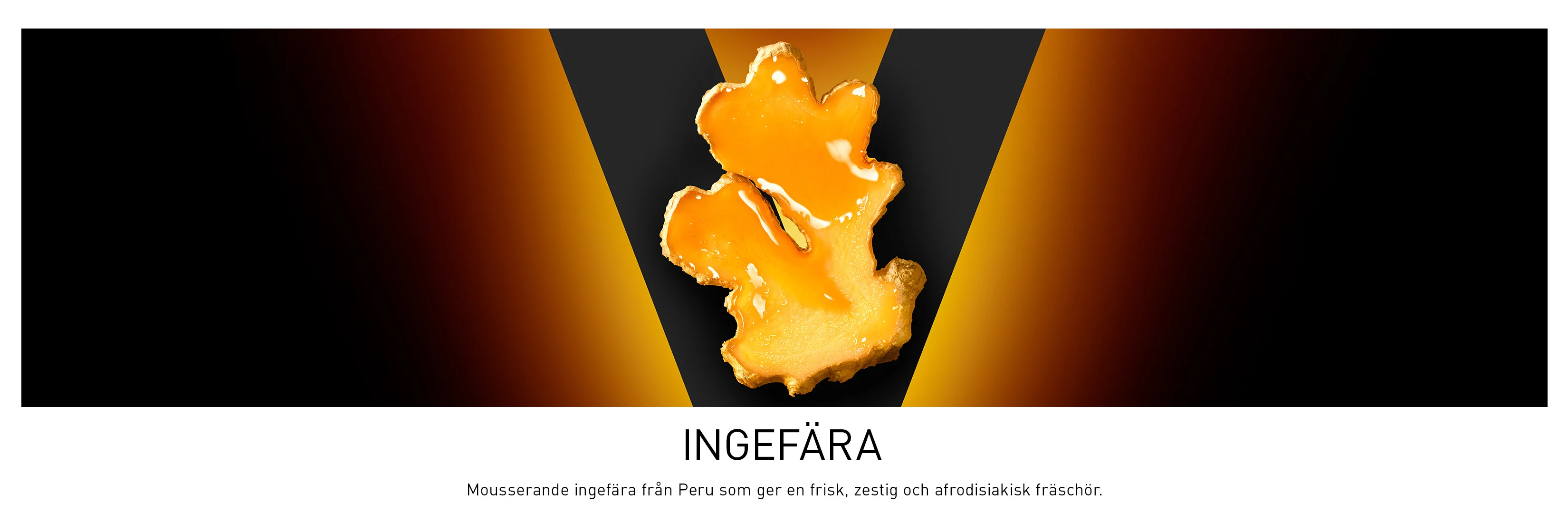 Ingefära mot orange och svart bakgrund. Bilden beskriver ingefärans friska, kryddiga och afrodisiakiska doft.