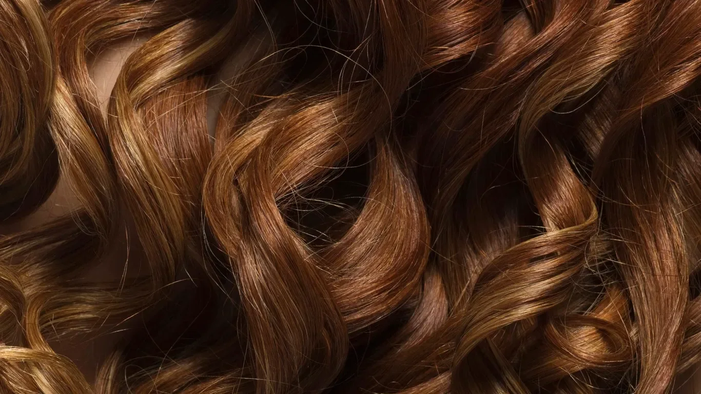 Brune og røde, store og blanke krøller.
