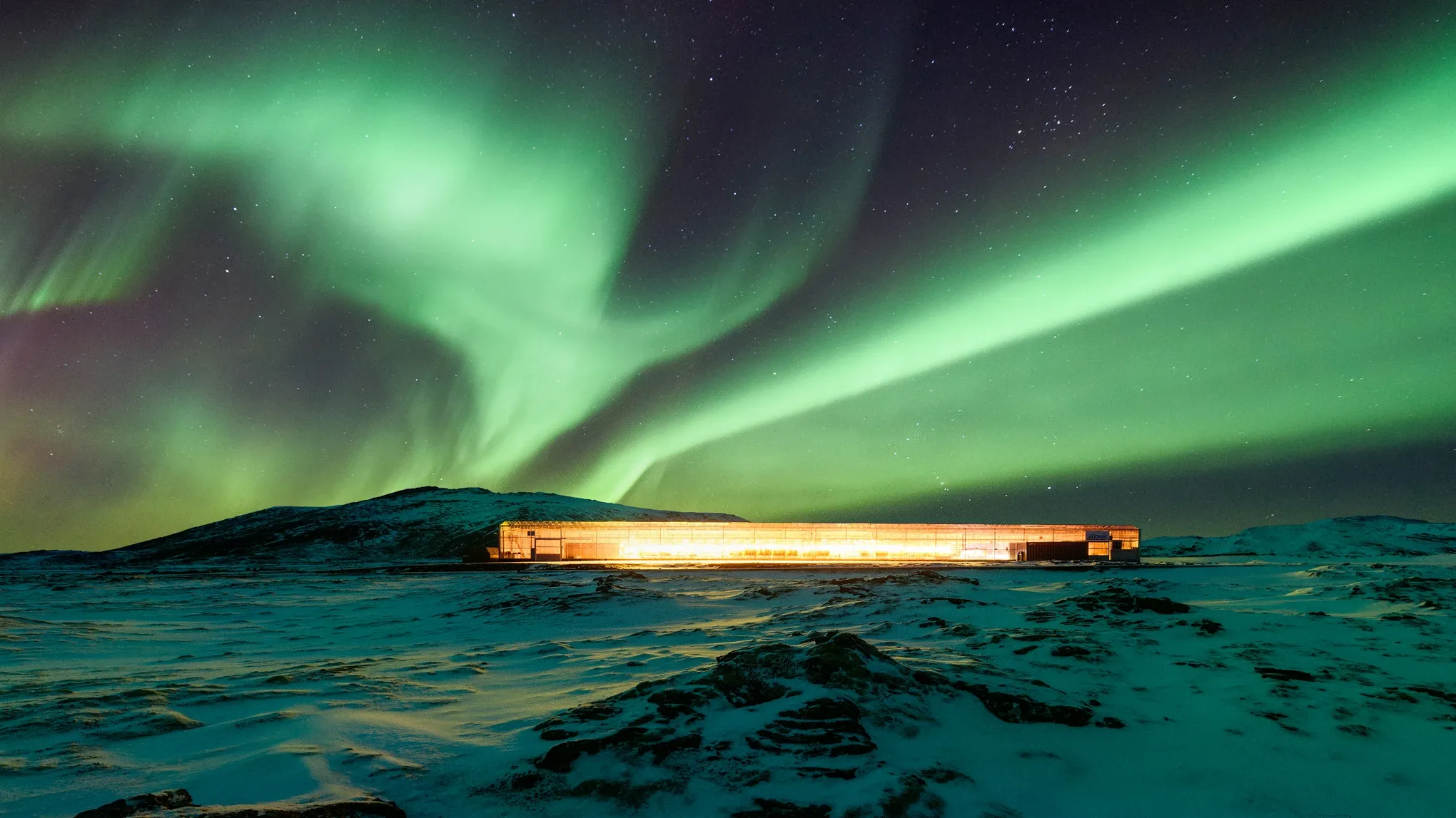 Ett stort upplyst växthus på island bland snö och berg under en himmel med norrsken