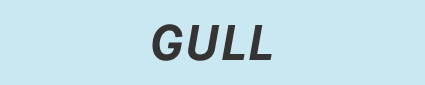 gull