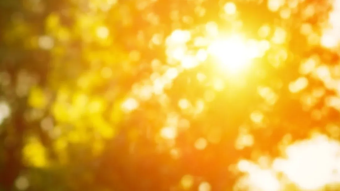 Aurinkoinen päivä, jolloin voimakas auringonvalo paistaa puiden lehvästön läpi. Kuvassa on lämmin, kelta-oranssi sävy, joka luo kesän ja luonnon tunnelman.