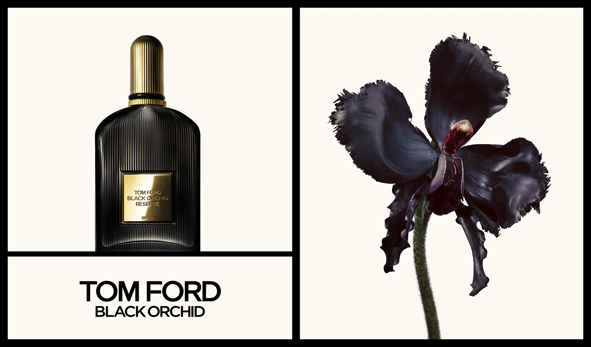 Tom Ford Black Orchid parfym med en bild av en svart orkidé, arrangerad på en minimalistisk bakgrund.