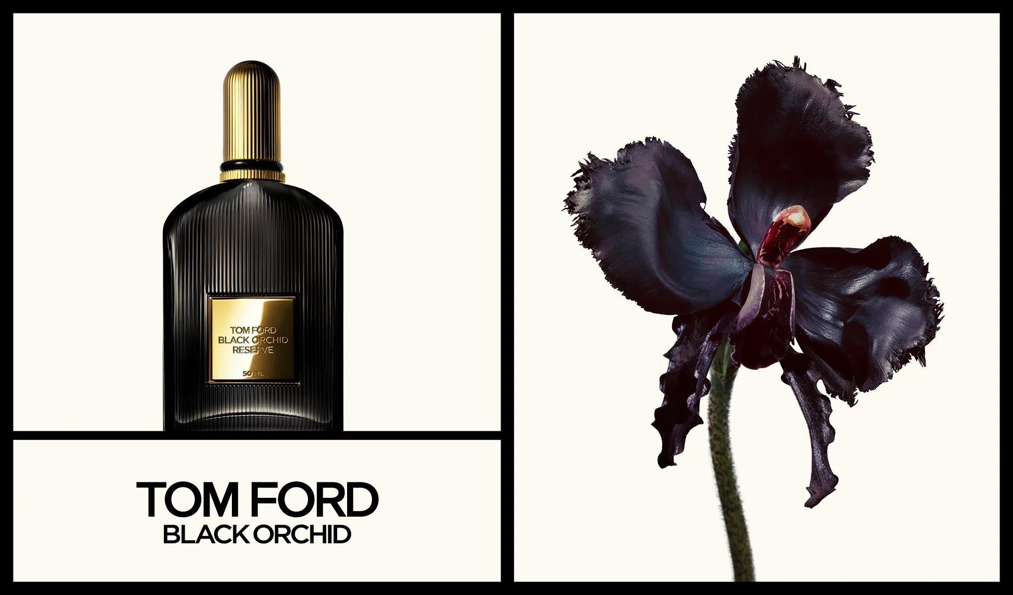 Tom Ford Black Orchid parfym med en bild av en svart orkidé, arrangerad på en minimalistisk bakgrund.