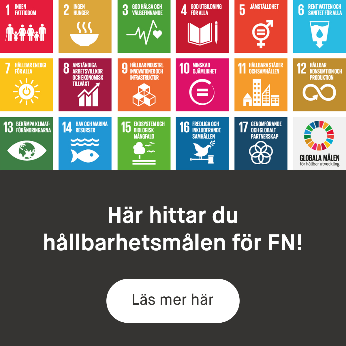 global goals