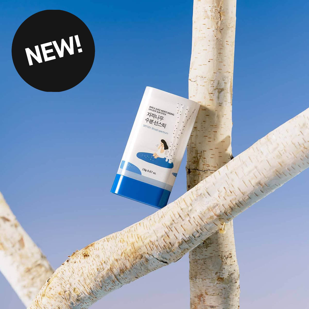 Round Lab Birch Juice Moisturizing Sun Stick SPF50+ solstift på bjørkegrein.