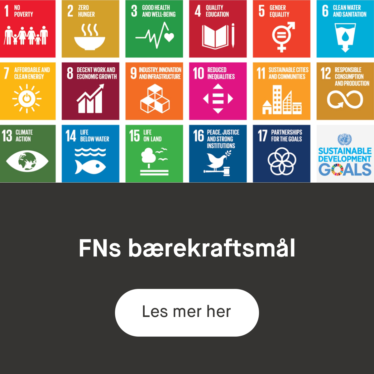 global goals