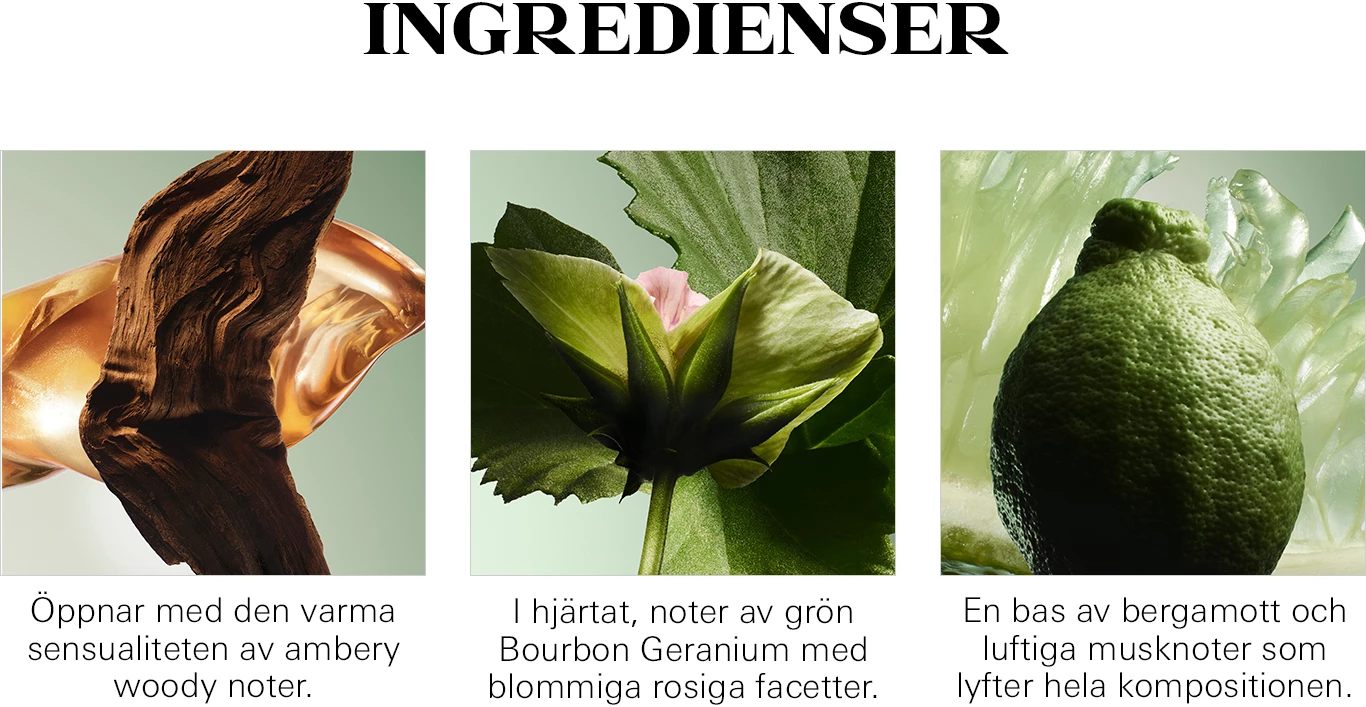 Tre bilder med ingredienser: varm träig doft, grön Bourbon Geranium blomma och bergamott. Texterna beskriver doftens egenskaper.