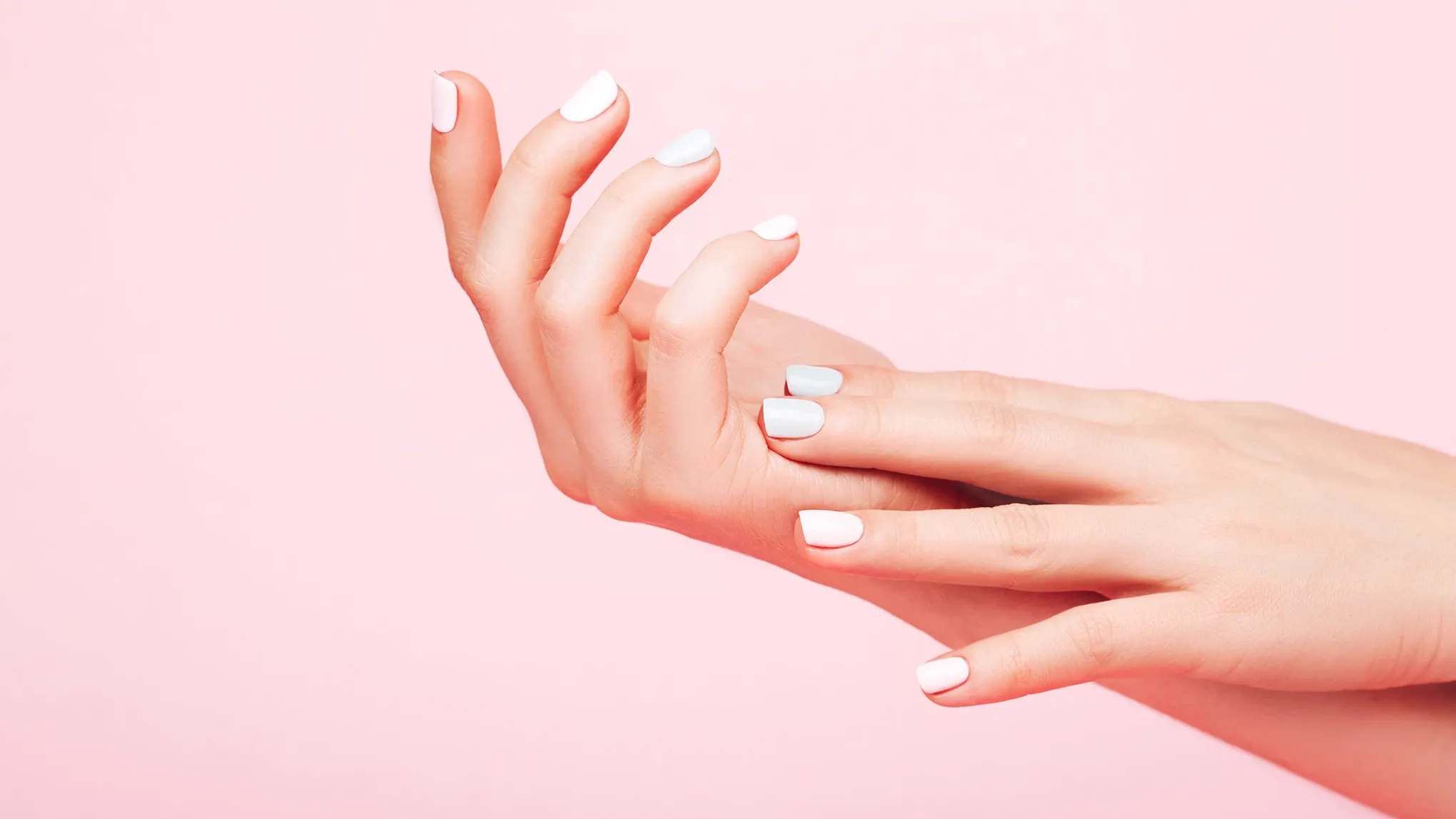 Händer med vit nagellack på rosa bakgrund.