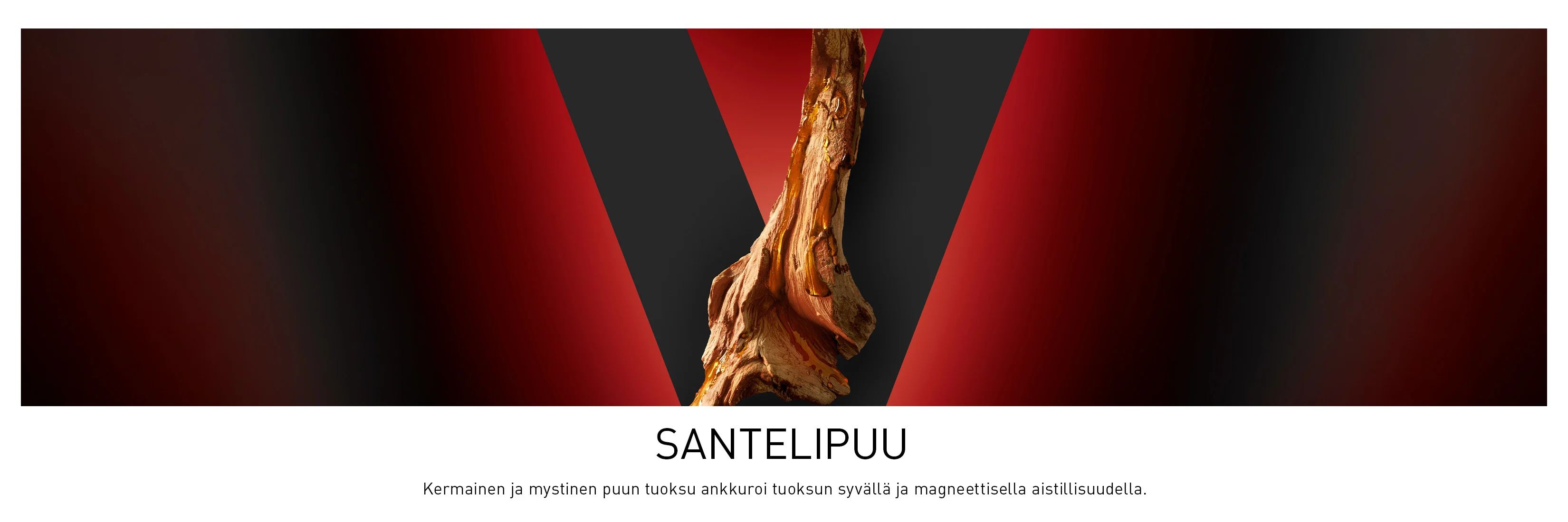 Santelipuuta punamustalla taustalla. Kuvassa kuvataan santelipuun kermaista, mystistä ja syvää tuoksua.