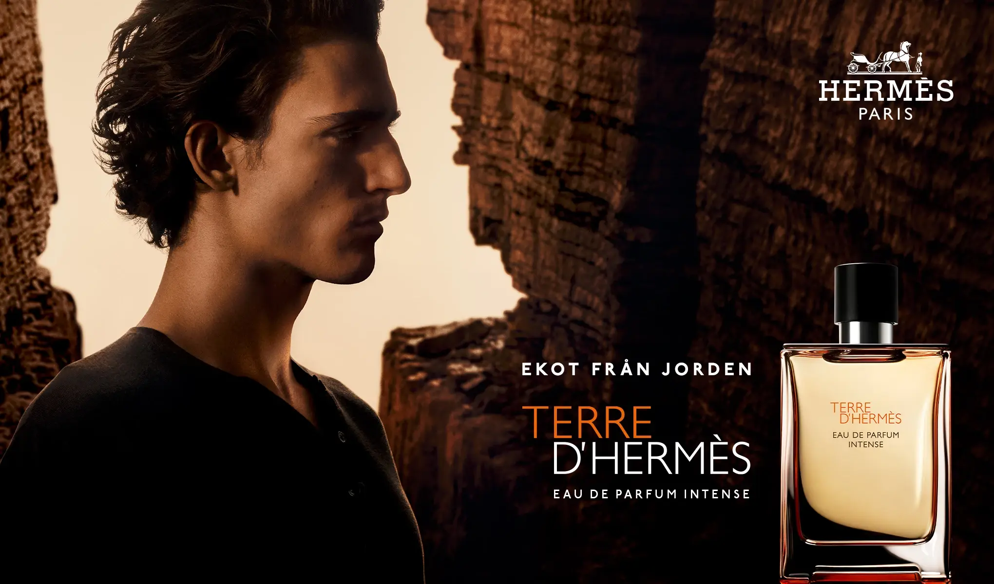 Hermès Terre D'Hermès Eau de Parfum Intense-flaska framför en stenig bakgrund.