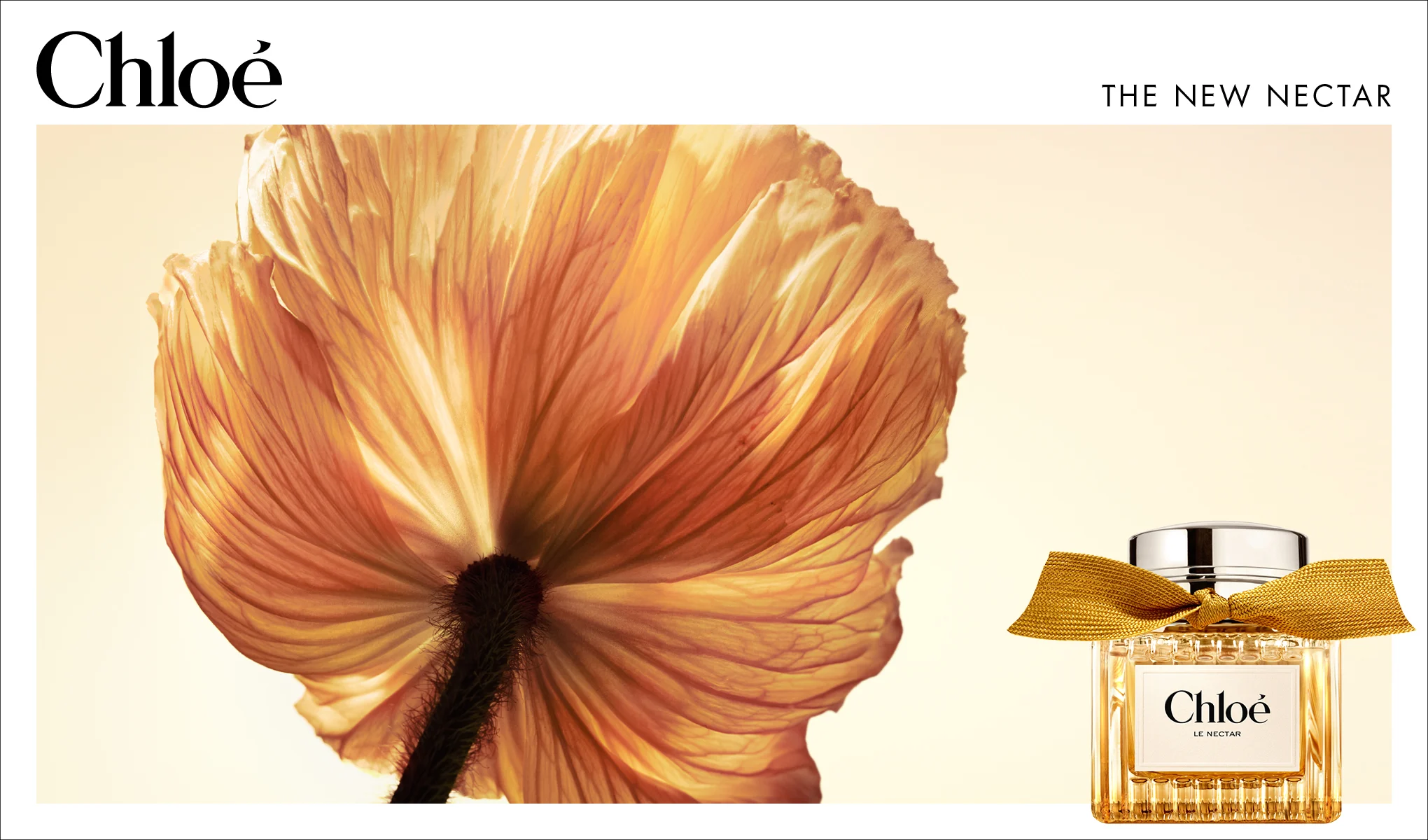 Chloé Le Nectar parfyme i en gyllen glassflaske med gullfarget sløyfe ved siden av en stor oransjegul blomst mot en lys bakgrunn. Teksten «Chloé», «THE NEW NECTAR» og «Chloé LE NECTAR» vises i bildet.