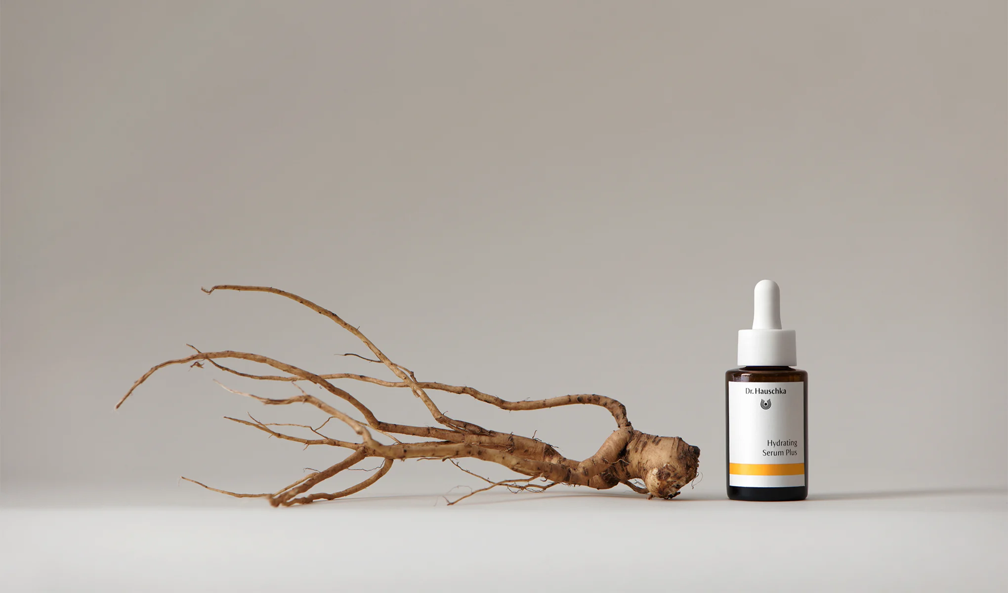 Dr. Hauschka Hydrating Serum Plus bredvid en växtrot mot en ljus bakgrund.