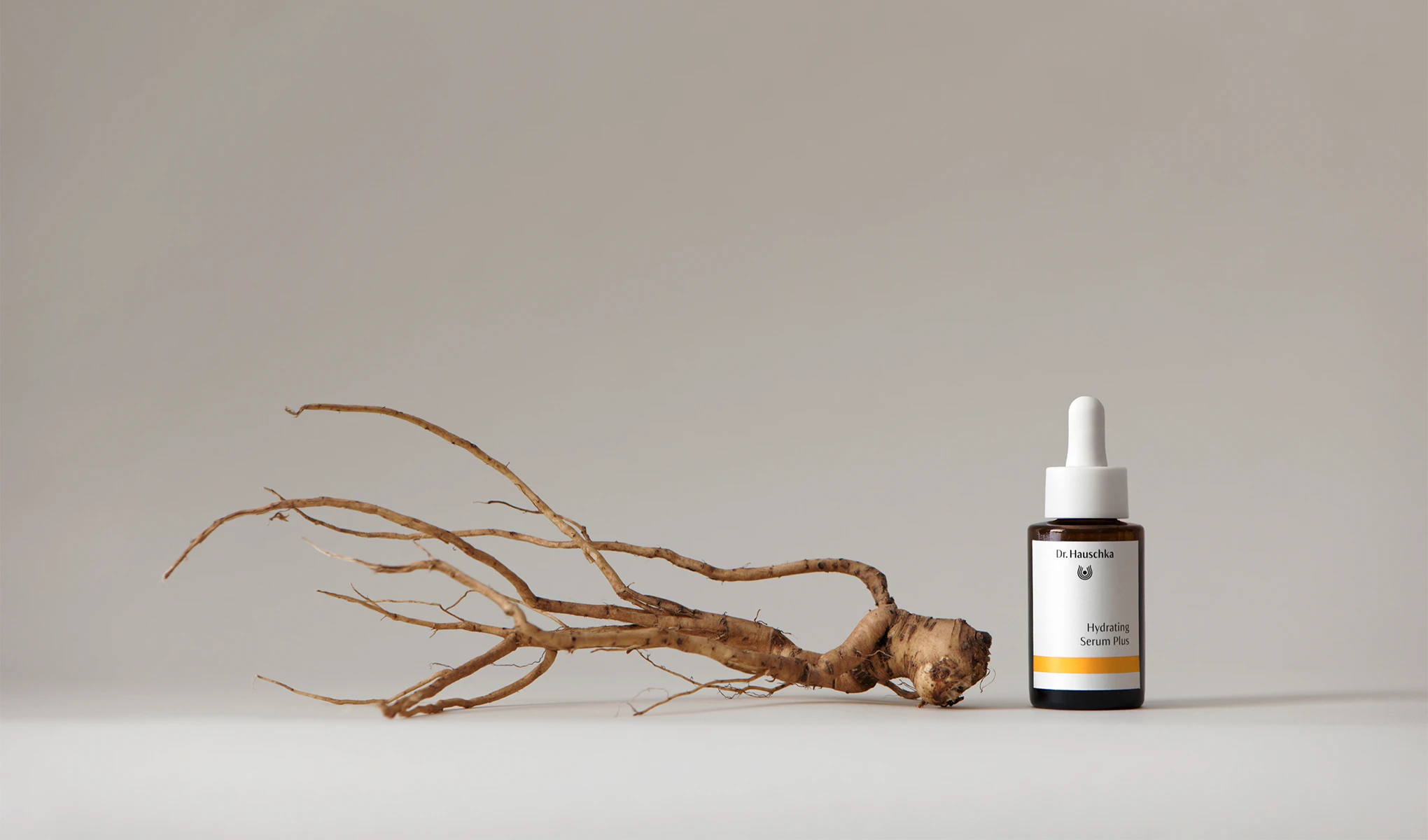 Dr. Hauschka Hydrating Serum Plus ved siden av en planterot mot en lys bakgrunn.