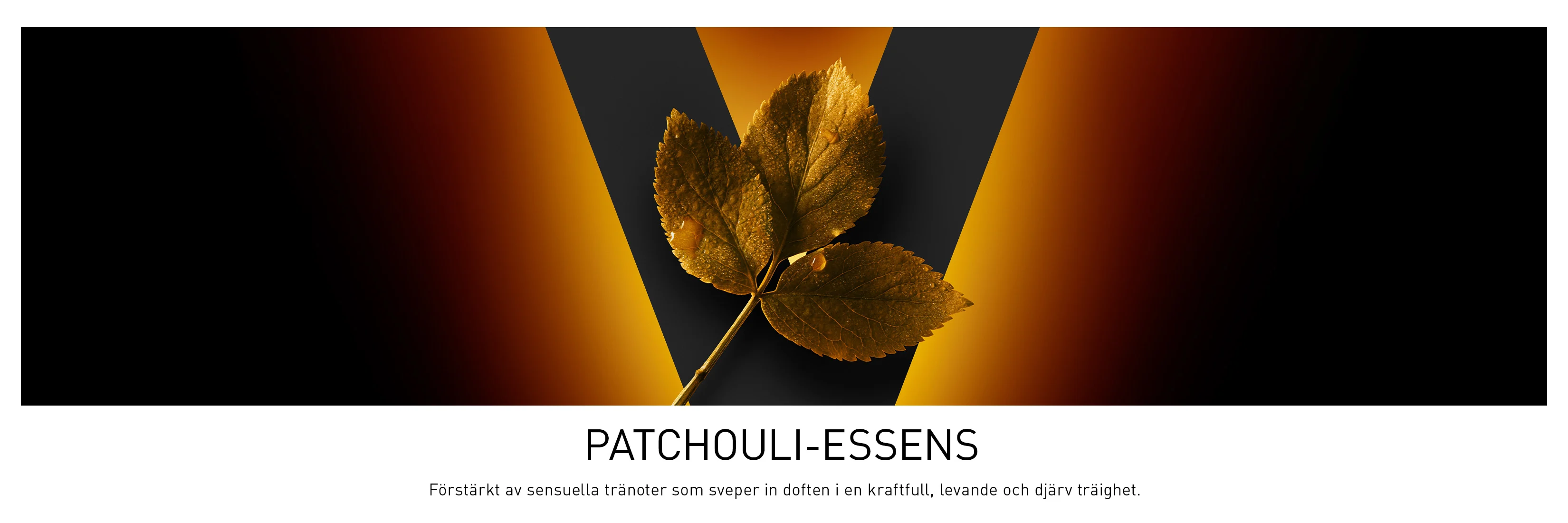 Patchouliblad mot orange och svart bakgrund. Bilden beskriver patchoulins kraftfulla, varma och djupa doft.