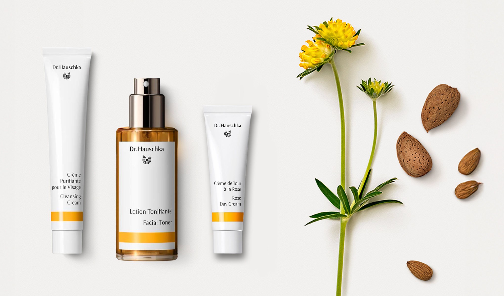 Top banner for Dr. Hauschka