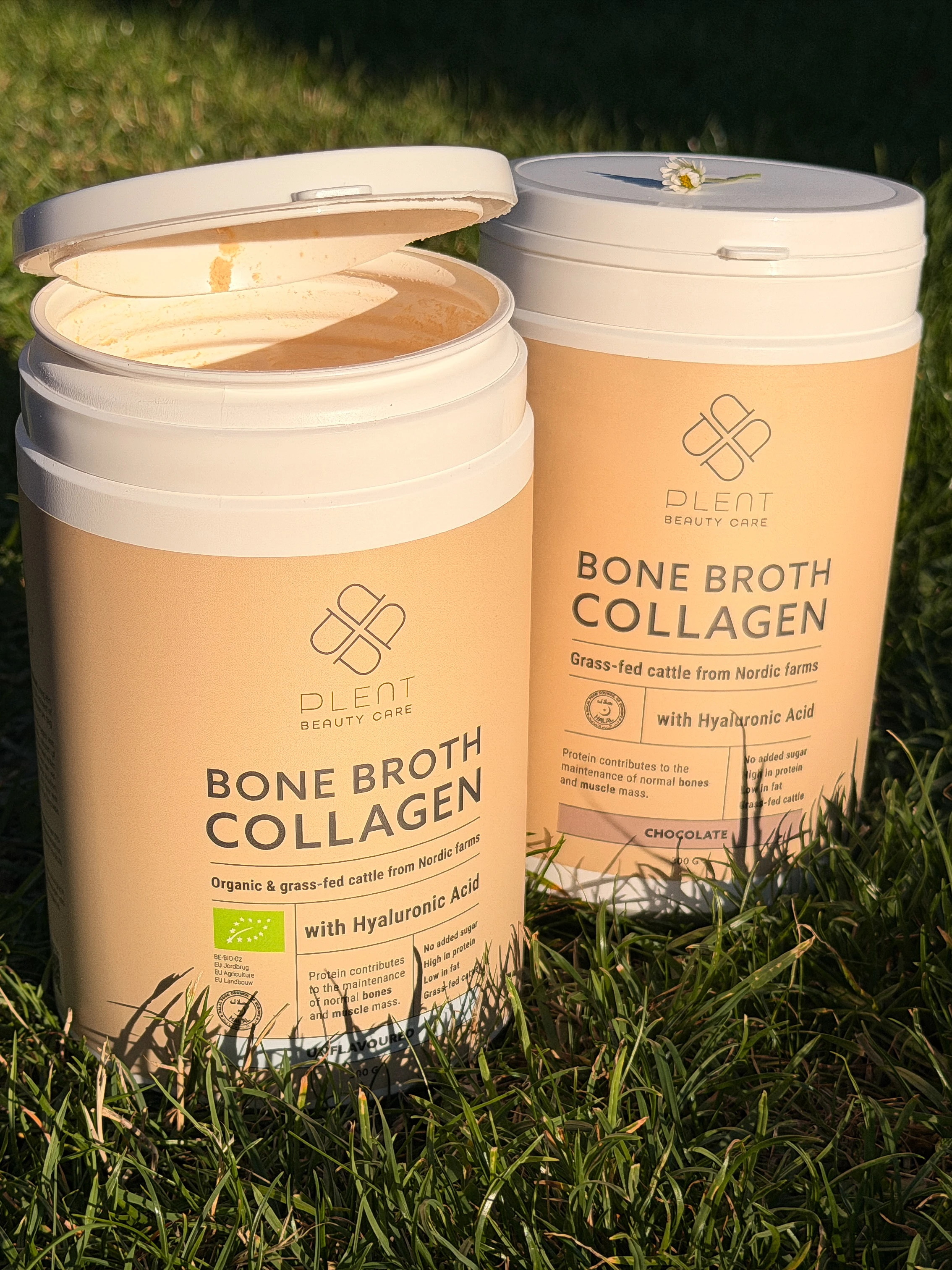 To bøtter Plent Beauty Care Bone Broth Collagen på græs. Den åbne indeholder usmagt pulver; den lukkede er chokolade med en marguerit på låget. Begge med græsfodret kvæg og hyaluronsyre.