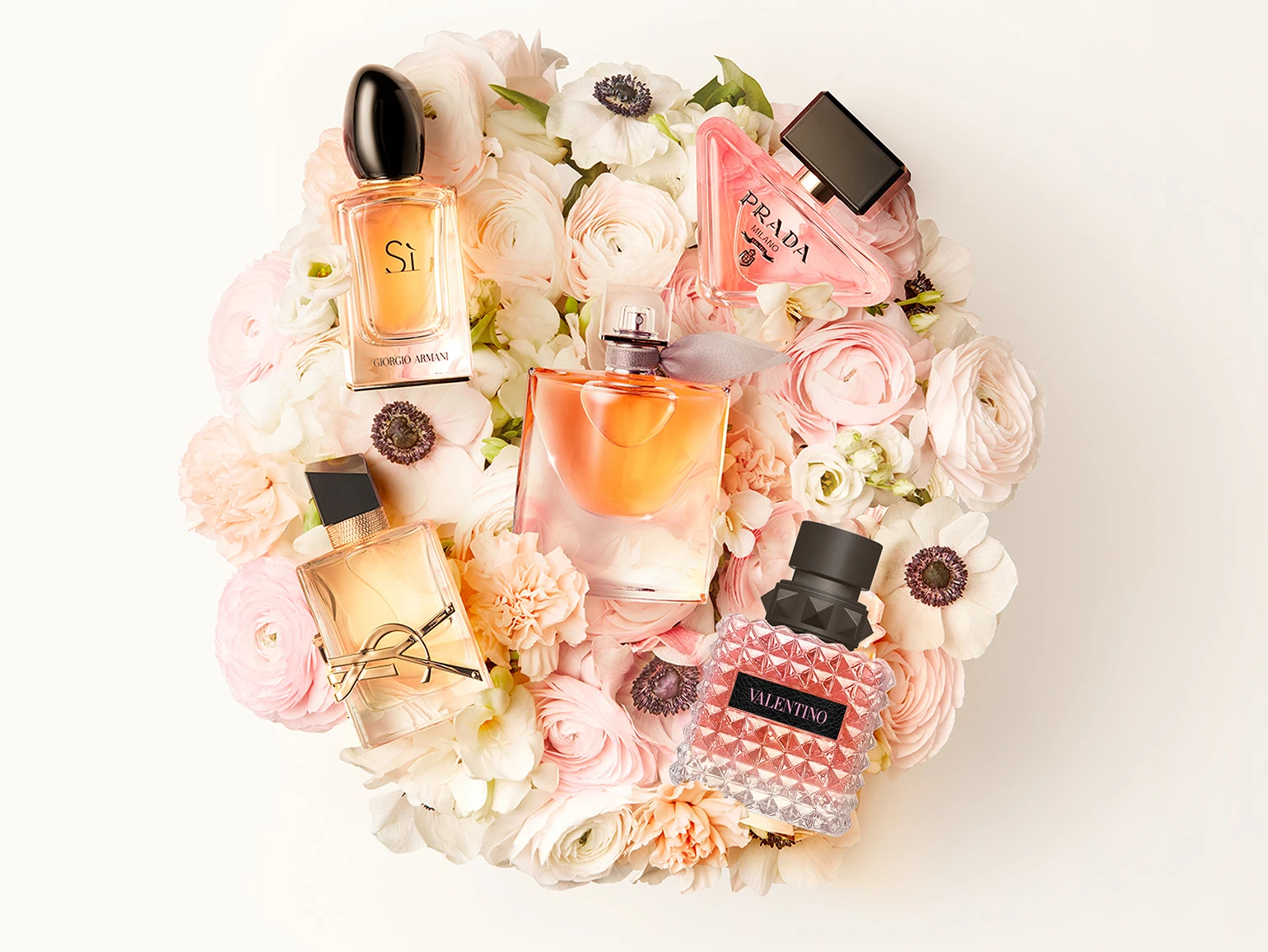 Topbanner_1540x1156 (1).jpg