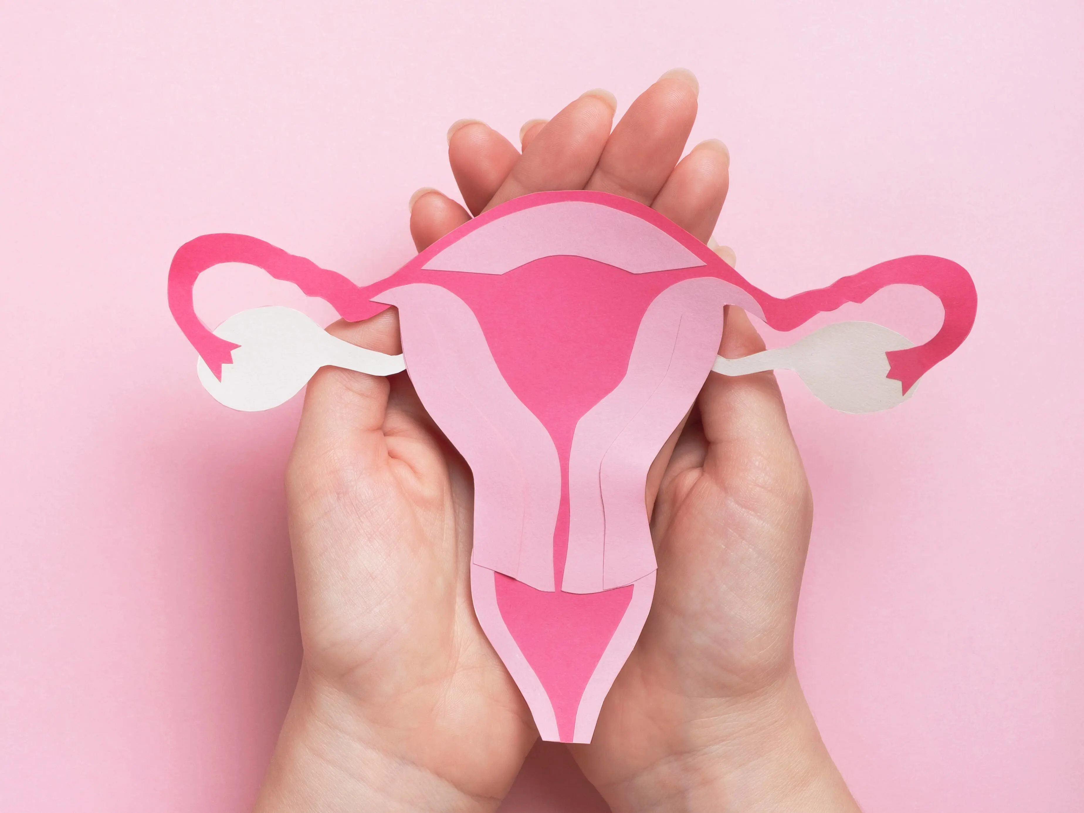 Topbanner menstruation.jpg