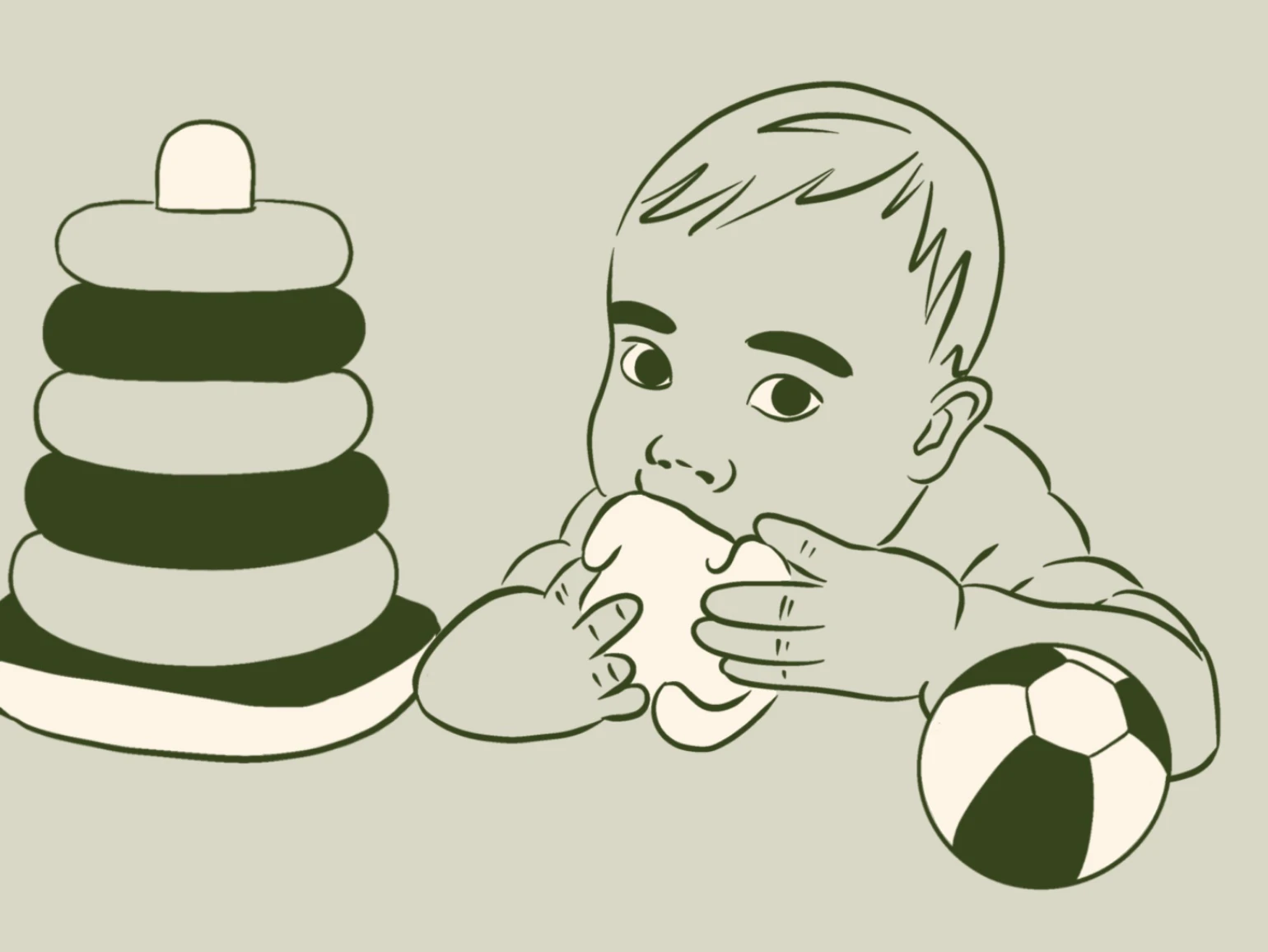 tigerspring_topbanner_2.jpeg
