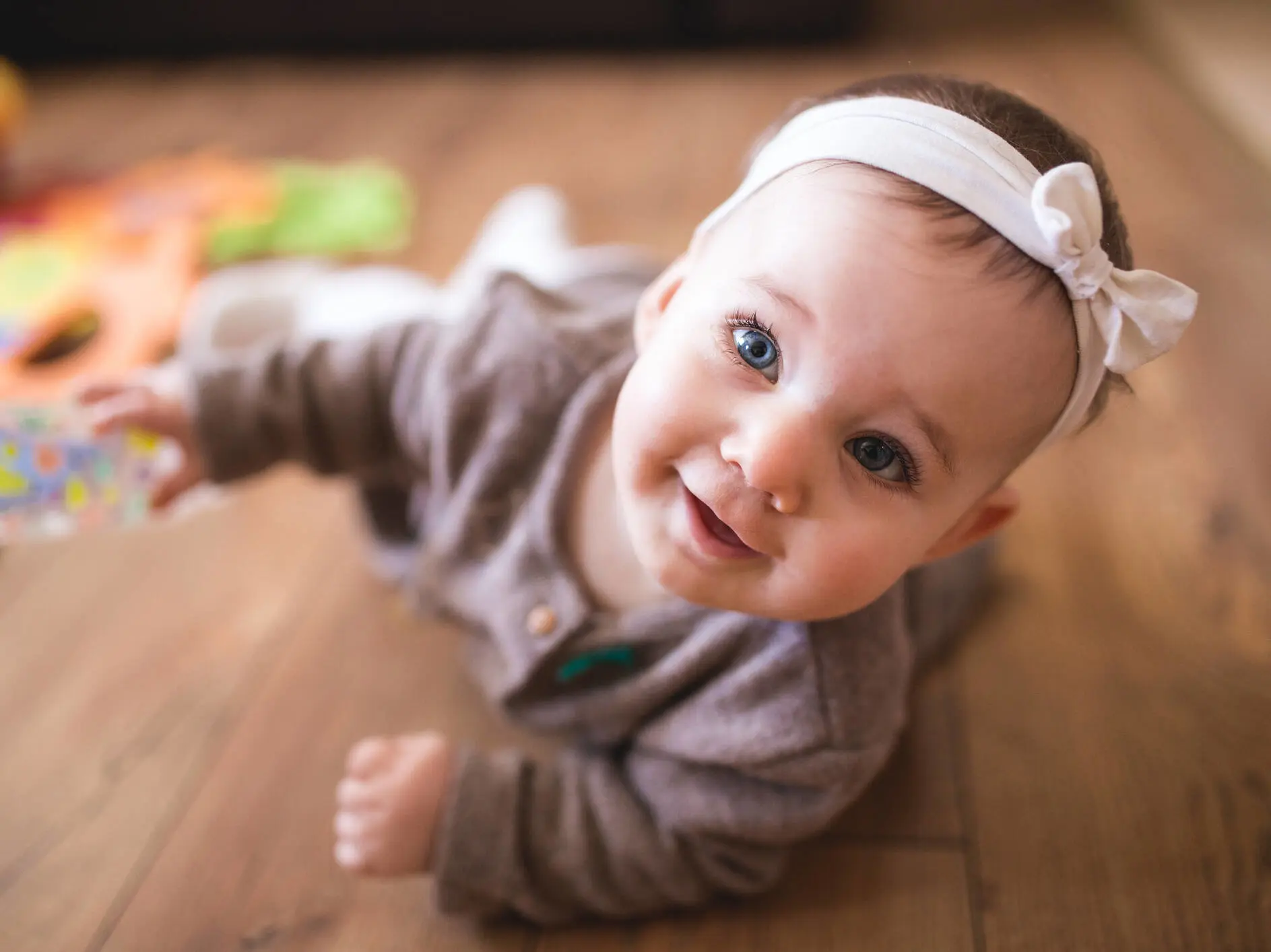 Tigerspring 5 - 6 mdr.jpg