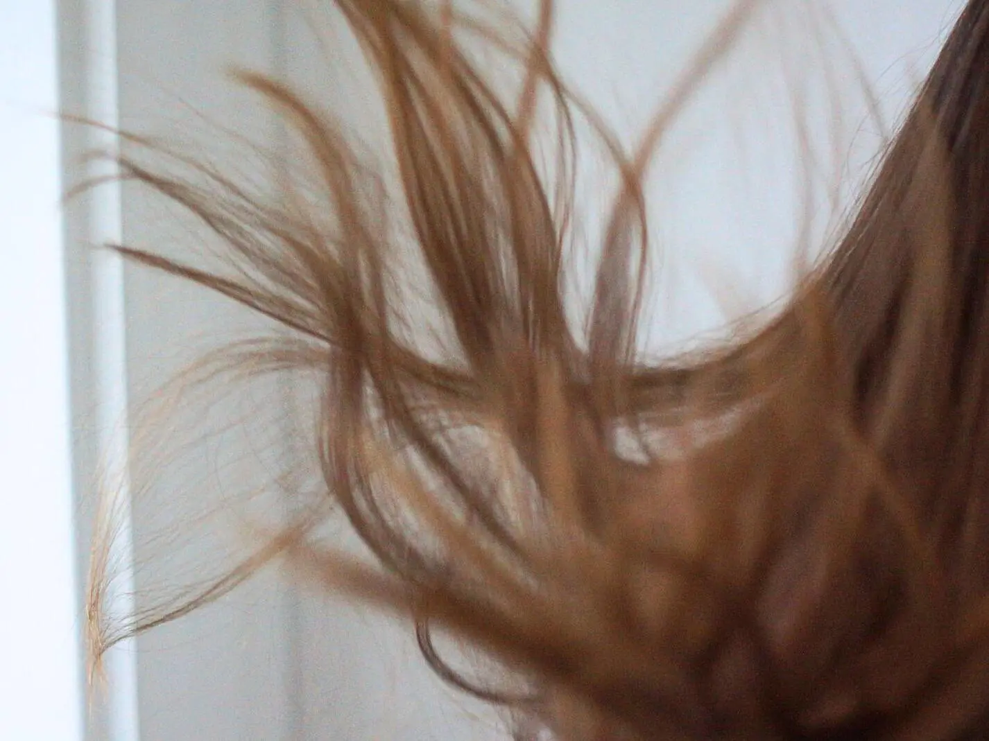 Hairlust banner.jpg