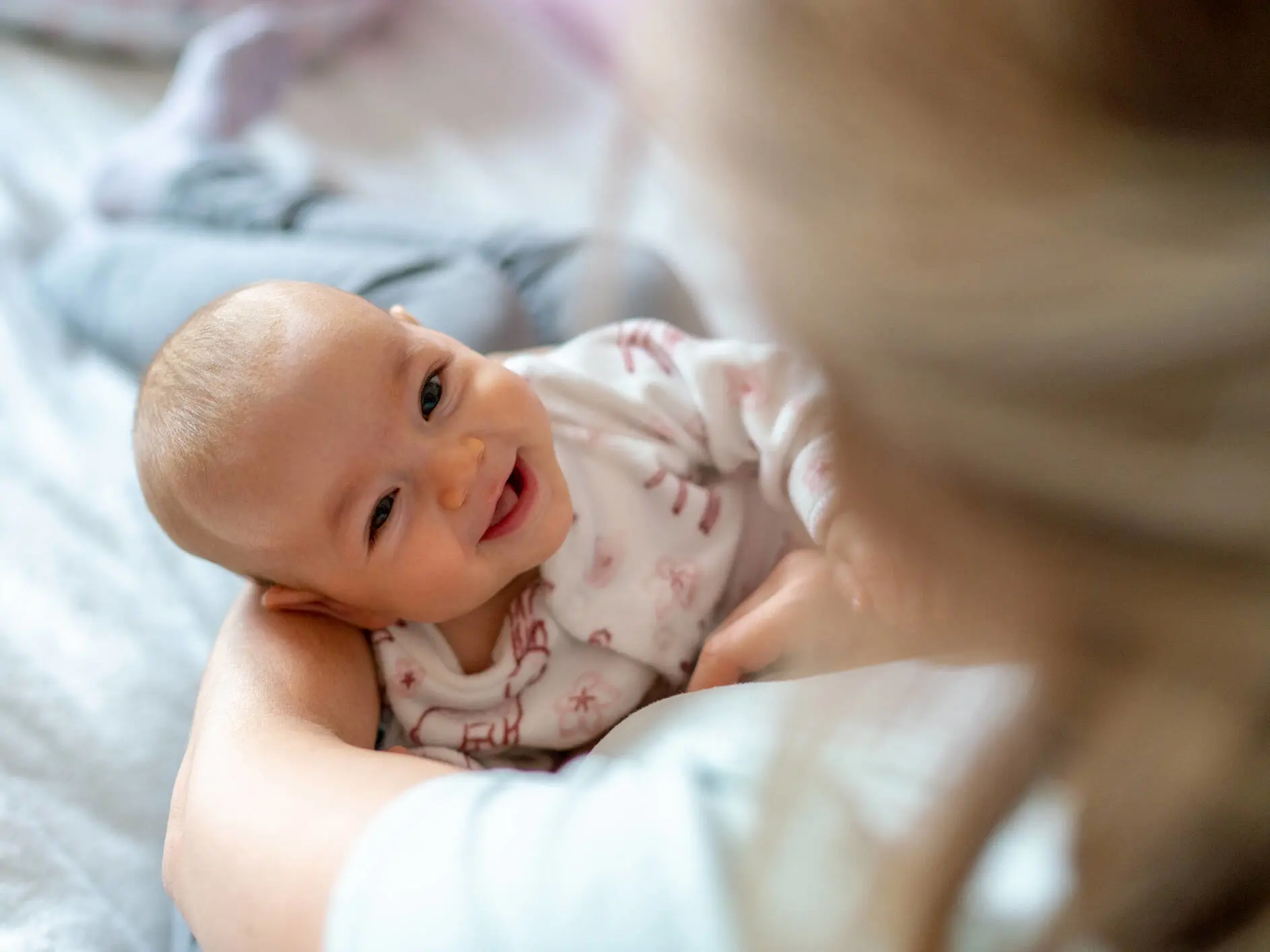 Baby 2. tigerspring 2 mdr banner.jpg