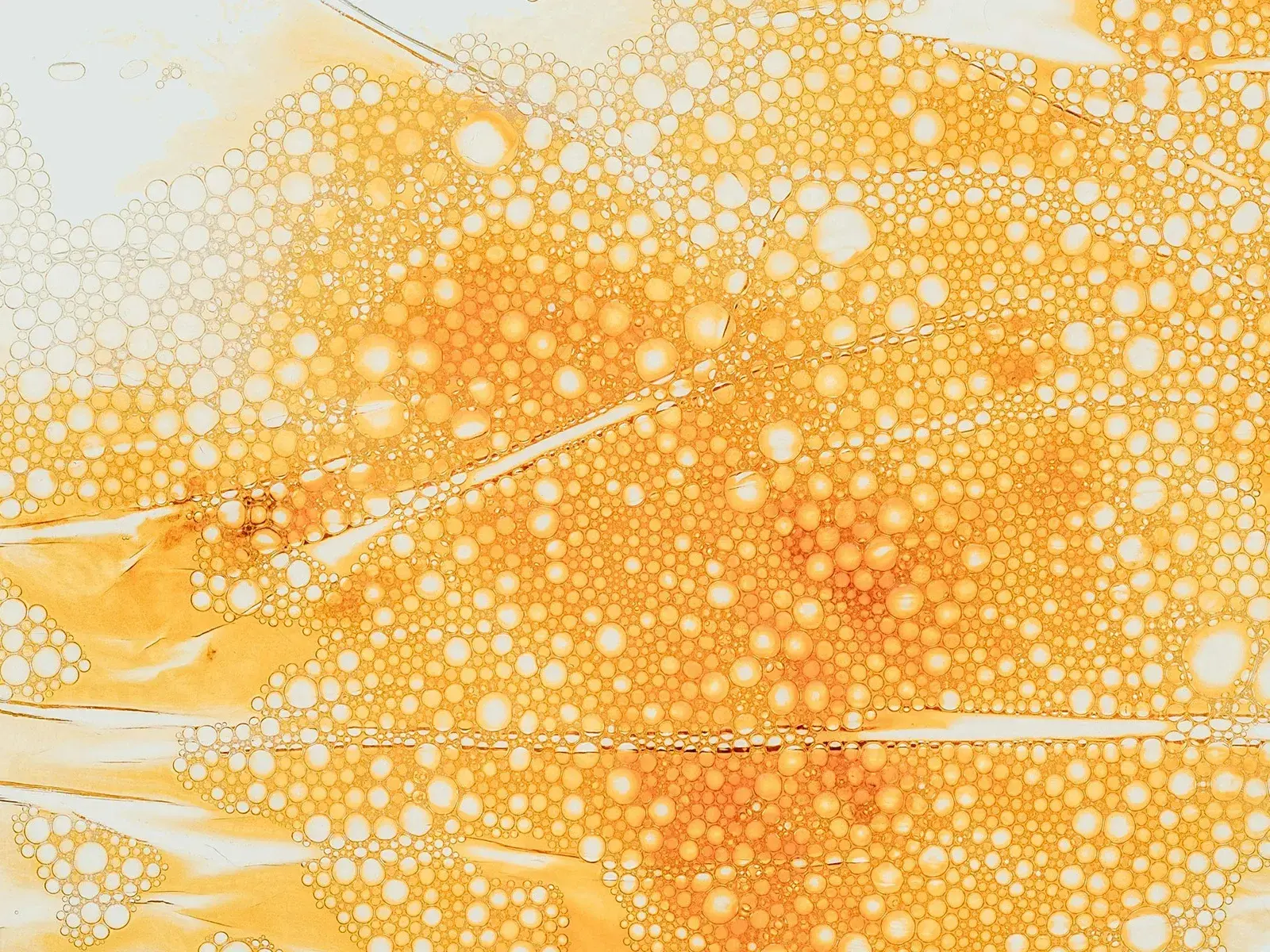 Askorbinsyra med många små, runda bubblor i olika nyanser av orange och gult.