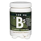 Dansk Farmaceutisk Industri B5 - Vitamin 100 mg 90 Tabletter 90 tabl.