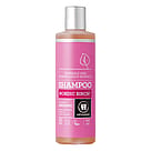 Urtekram Nordic Birch Shampoo (normalt hår) 250 ml