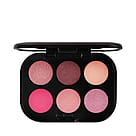 MAC Connect In Colour Eye Shadow Palette Rose Lens
