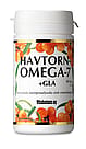Vitabalans Oy Havtorn Omega 7 + GLA 60 kaps.