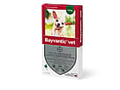 Bayvantic Vet Spot-on, opløsning til hunde op til 4 kg. 2 ml