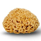 Cocoon Natursvamp Honeycomb