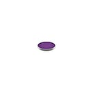 MAC Pro Palette Eye Shadow Power To The Purple