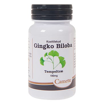 Camette Ginkgo biloba 100 mg 90 tabl.