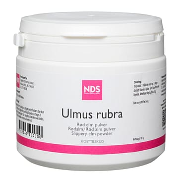 NDS Ulmus rubra 100 g