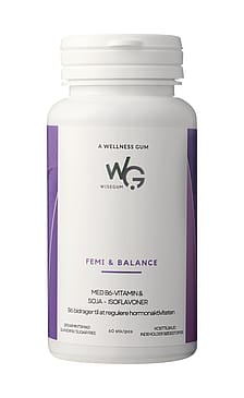 WiseGum Femi & Balance 60 stk