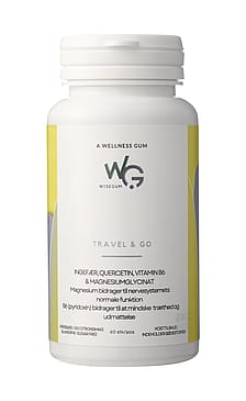 WiseGum Travel & Go 60 stk