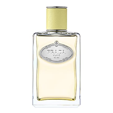 Prada Infusion de Gingembre Eau de Parfum 100 ml