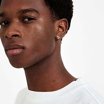 Pilgrim Øreringe Iris Guldbelagt