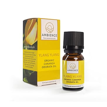 Ambience Ylang ylang Olie Økologisk 10 ml