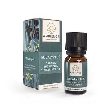 Ambience Eukalyptus Olie Økologisk 10 ml