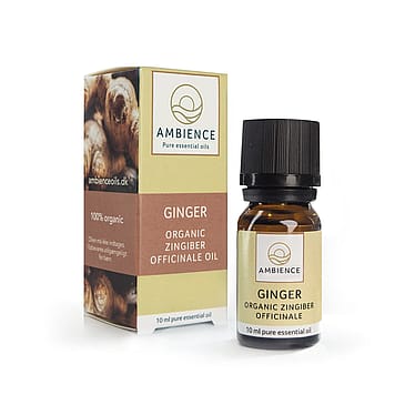 Ambience Ingefær Olie Økologisk 10 ml